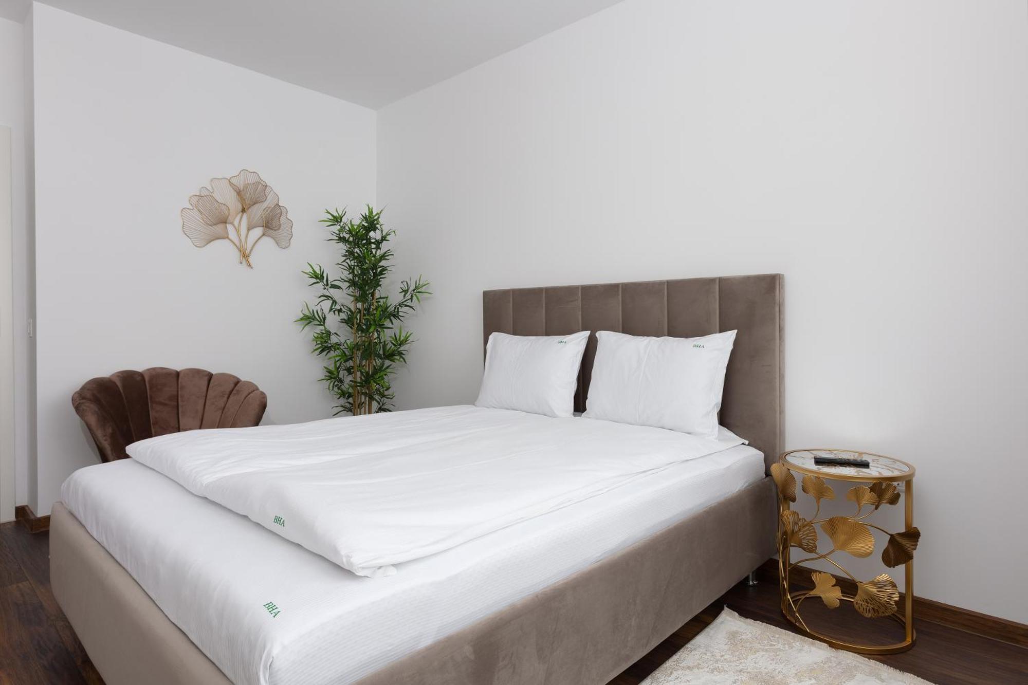 Brasov Holiday Apartments المظهر الخارجي الصورة