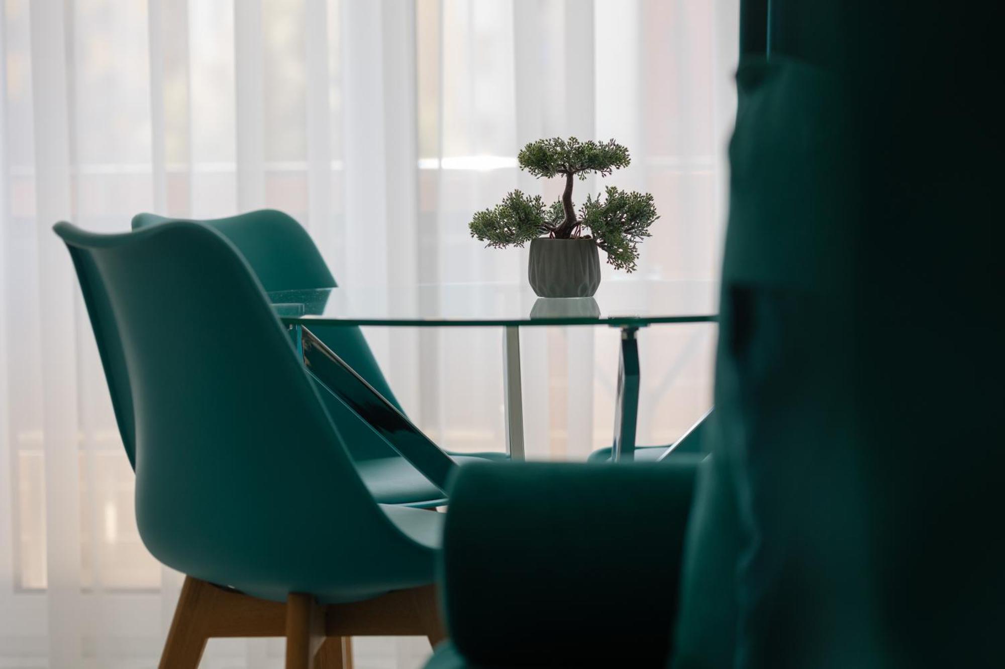 Brasov Holiday Apartments المظهر الخارجي الصورة